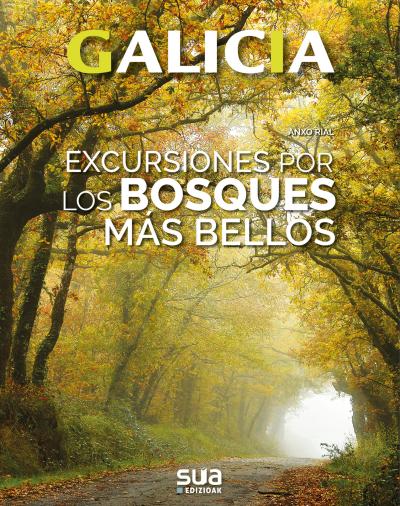 Galicia. Excursiones por los bosques más bellos