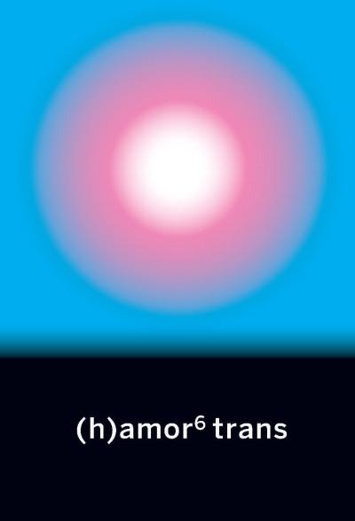 (h)amor 6 trans